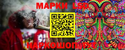 сатива Заволжье