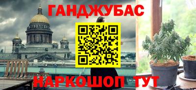 сатива Заволжье