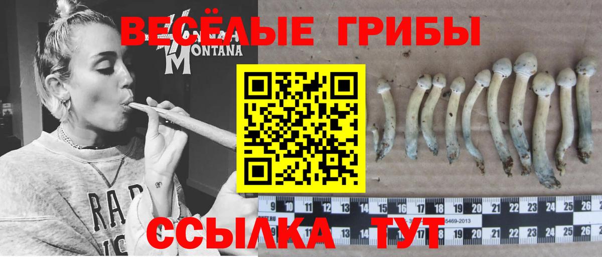 Галлюциногенные грибы мицелий Щёлково